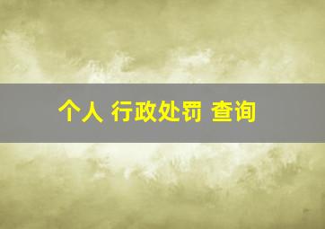 个人 行政处罚 查询